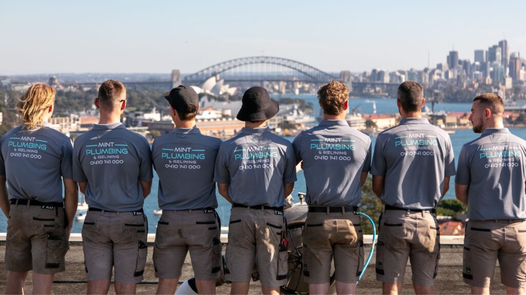 Mint Plumbing Team